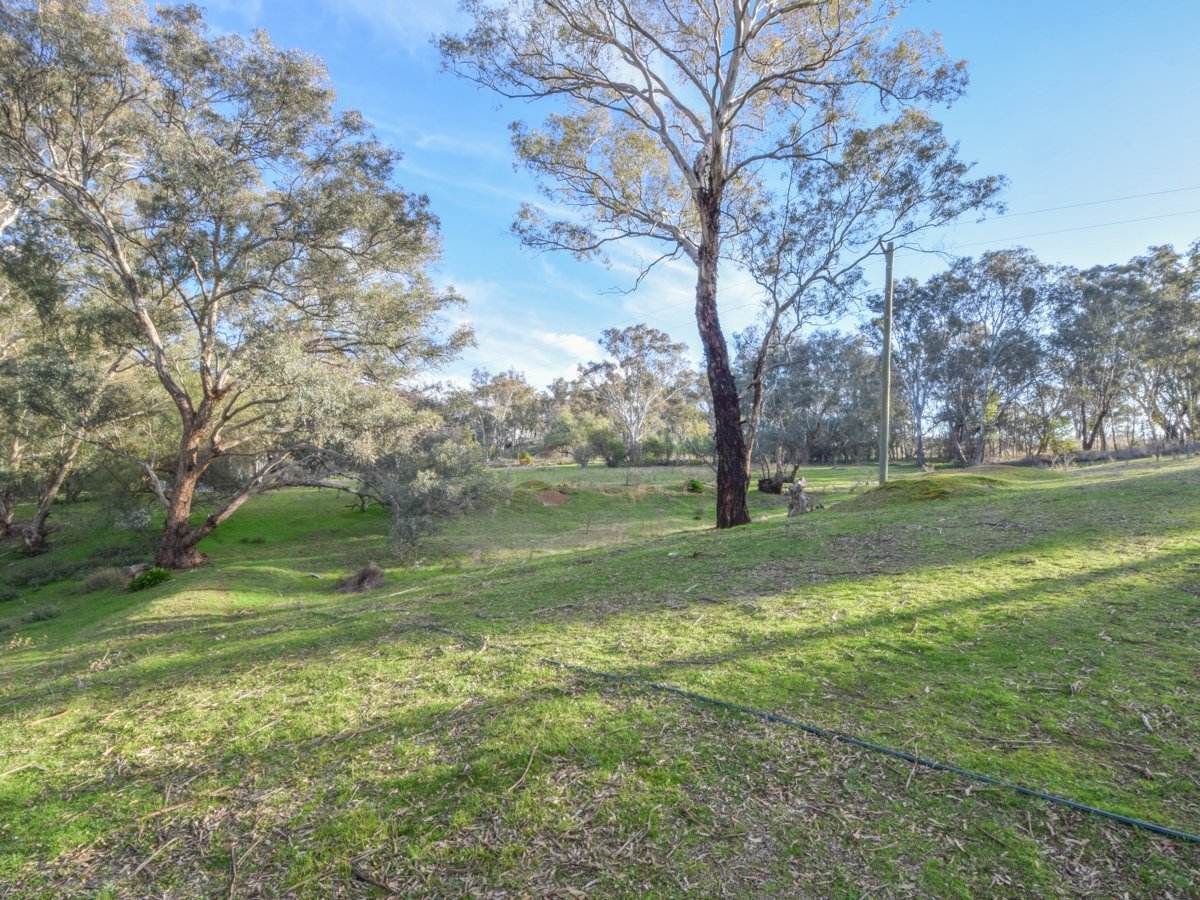 21 Dairymans Lane, Young For Sale by Farmbuy.com - image 3