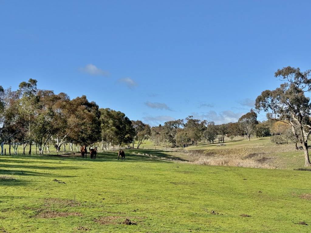 77 Newton Road, Young NSW 2594