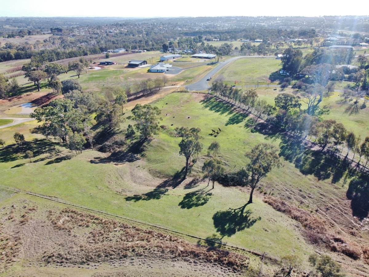 77 Newton Road, Young For Sale by Farmbuy.com - image 10