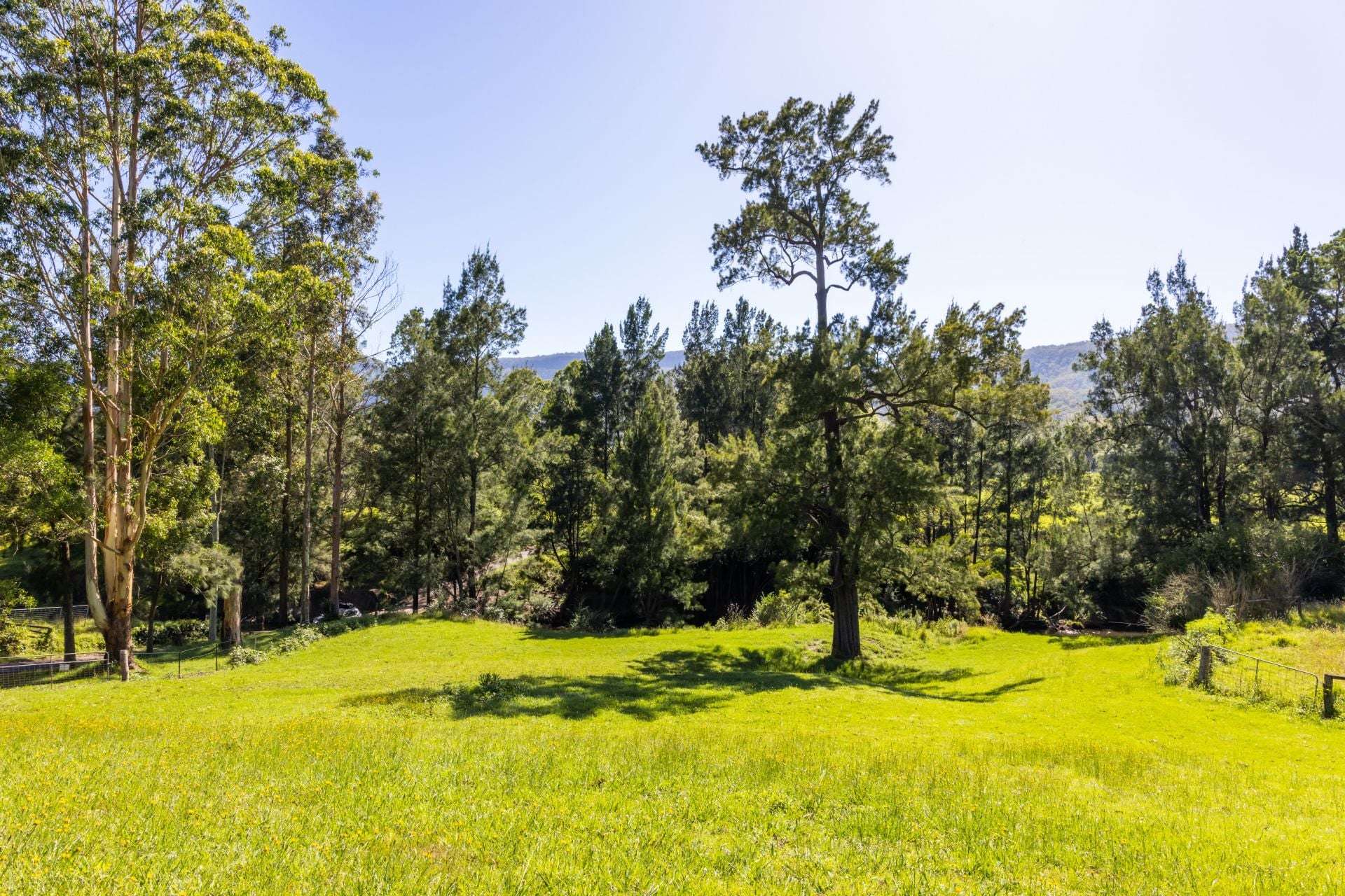 2319 Moss Vale Road, Kangaroo Valley For Sale by Farmbuy.com - image 34