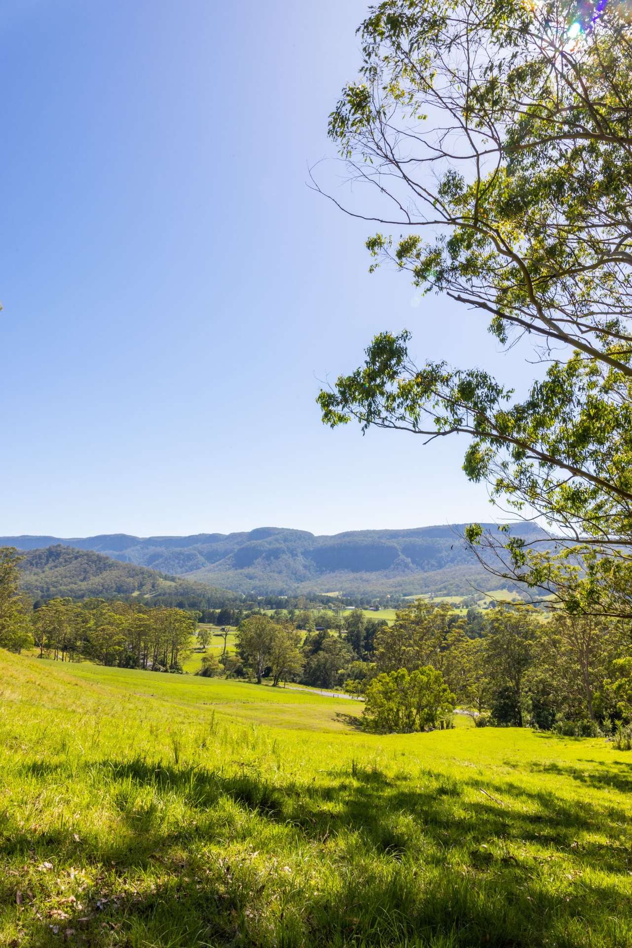 2319 Moss Vale Road, Kangaroo Valley For Sale by Farmbuy.com - image 25