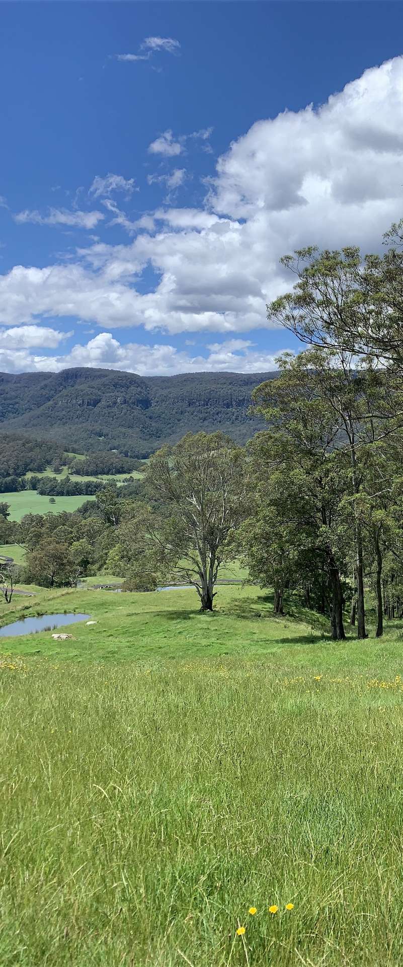 2319 Moss Vale Road, Kangaroo Valley For Sale by Farmbuy.com - image 30