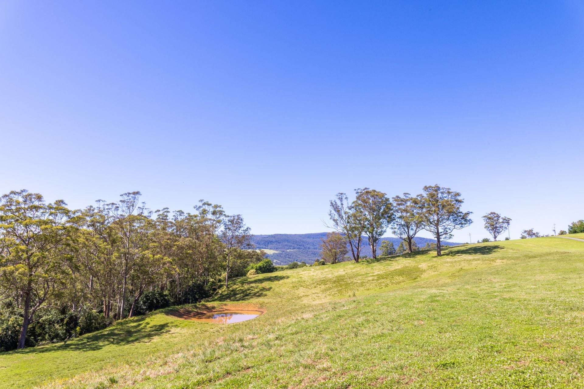 2319 Moss Vale Road, Kangaroo Valley For Sale by Farmbuy.com - image 9