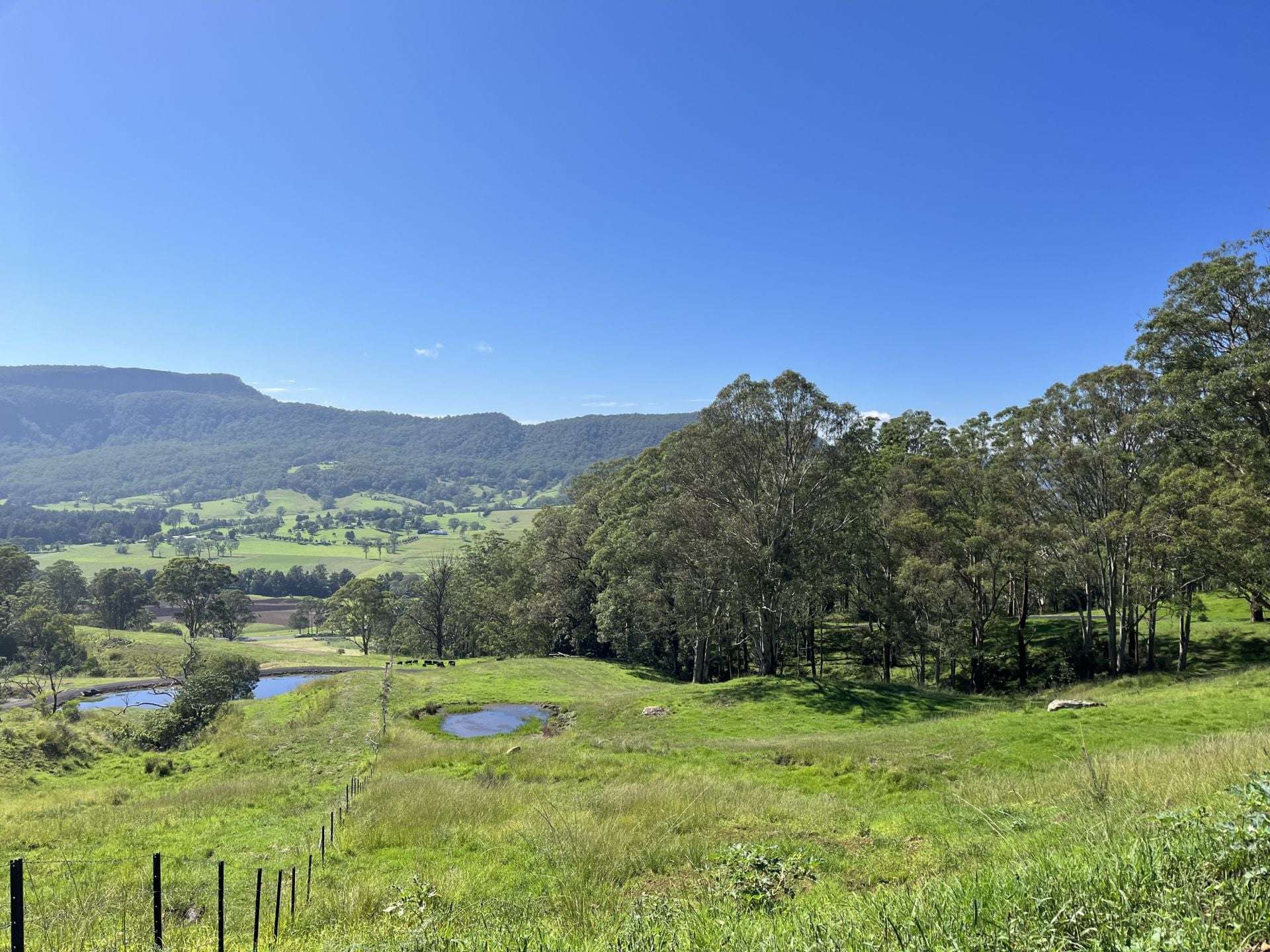 2319 Moss Vale Road, Kangaroo Valley For Sale by Farmbuy.com - image 6