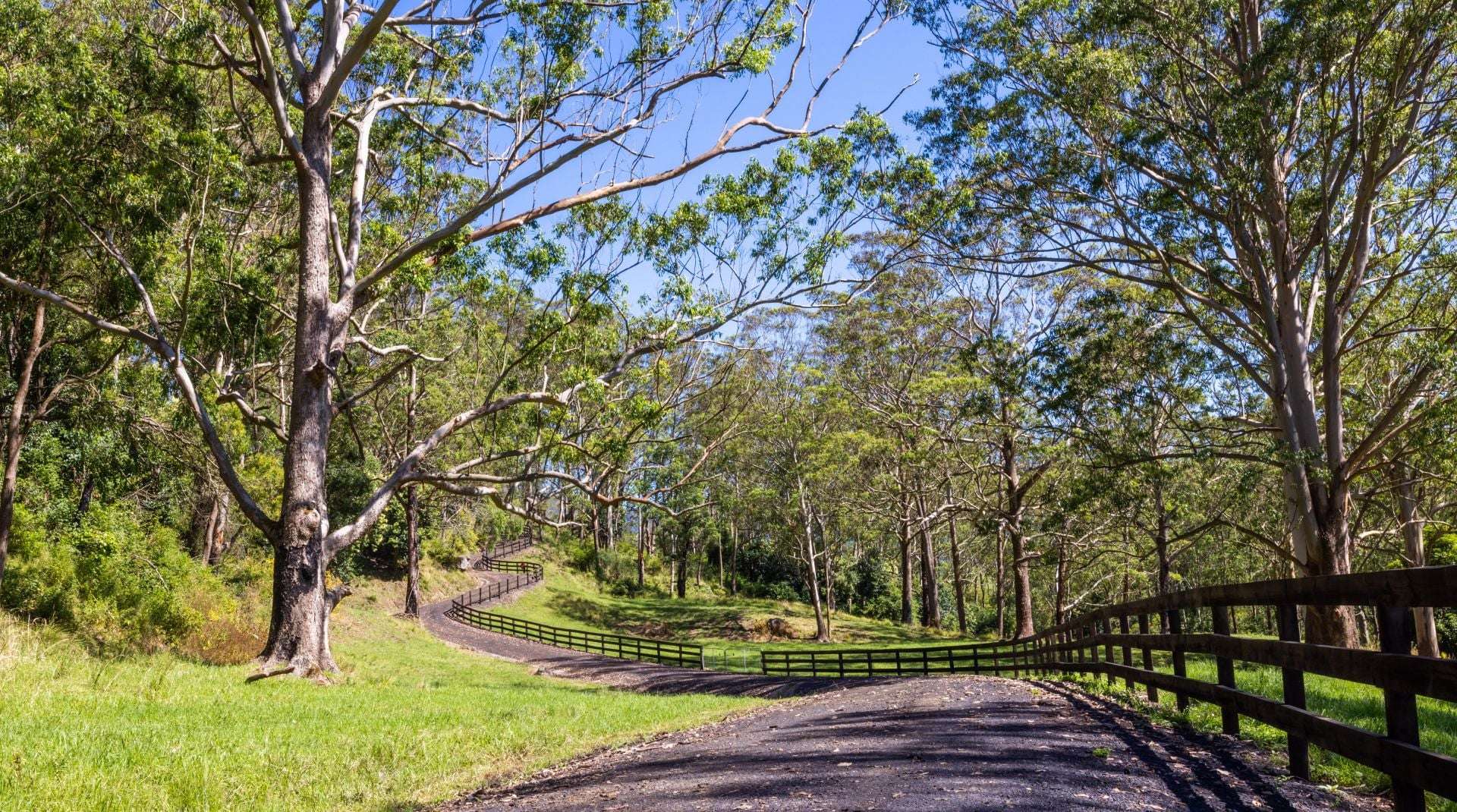 2319 Moss Vale Road, Kangaroo Valley For Sale by Farmbuy.com - image 16