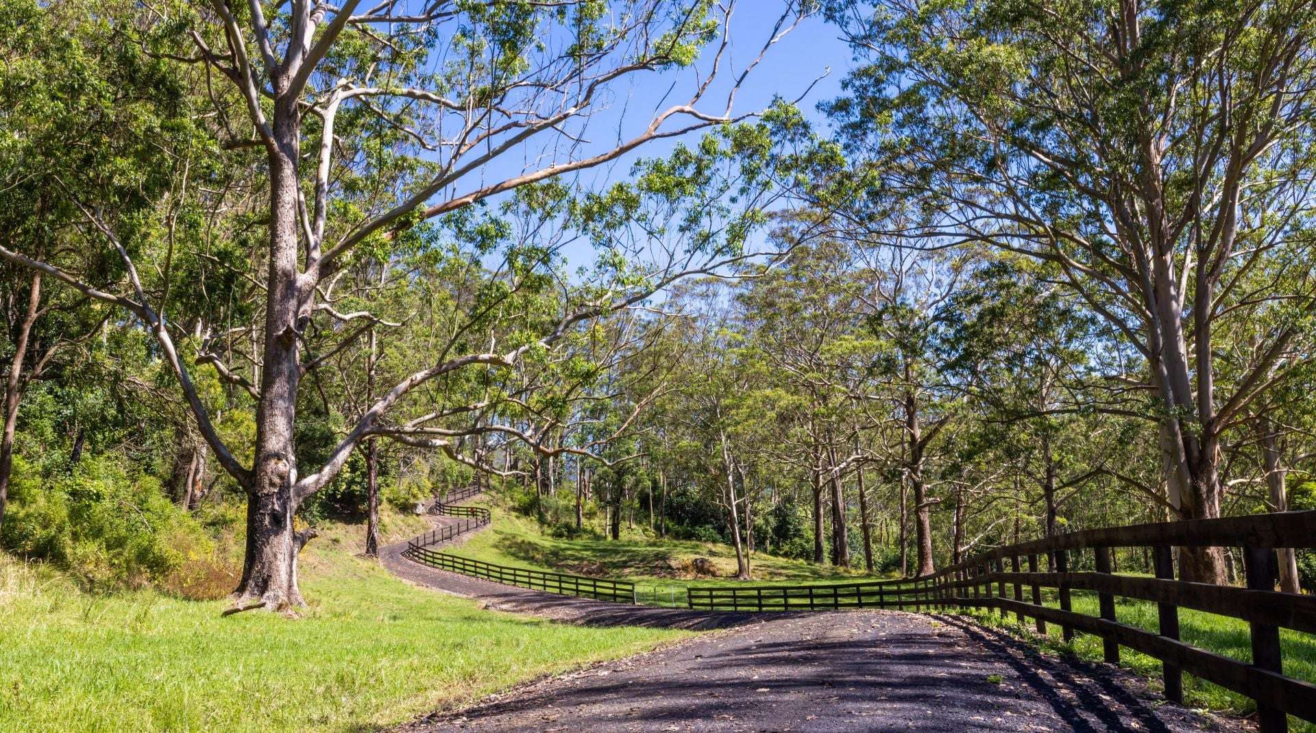 2319 Moss Vale Road, Kangaroo Valley For Sale by Farmbuy.com - image 16