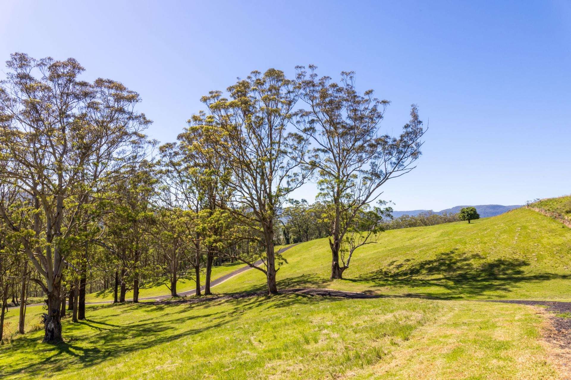 2319 Moss Vale Road, Kangaroo Valley For Sale by Farmbuy.com - image 8