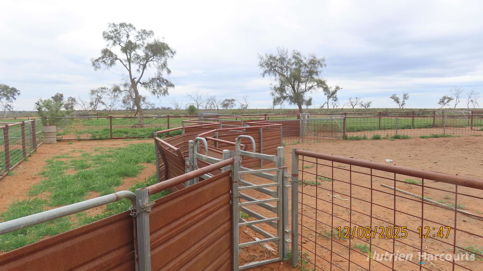 * Magenta Aggregation, Balranald For Sale by Farmbuy.com - image 21