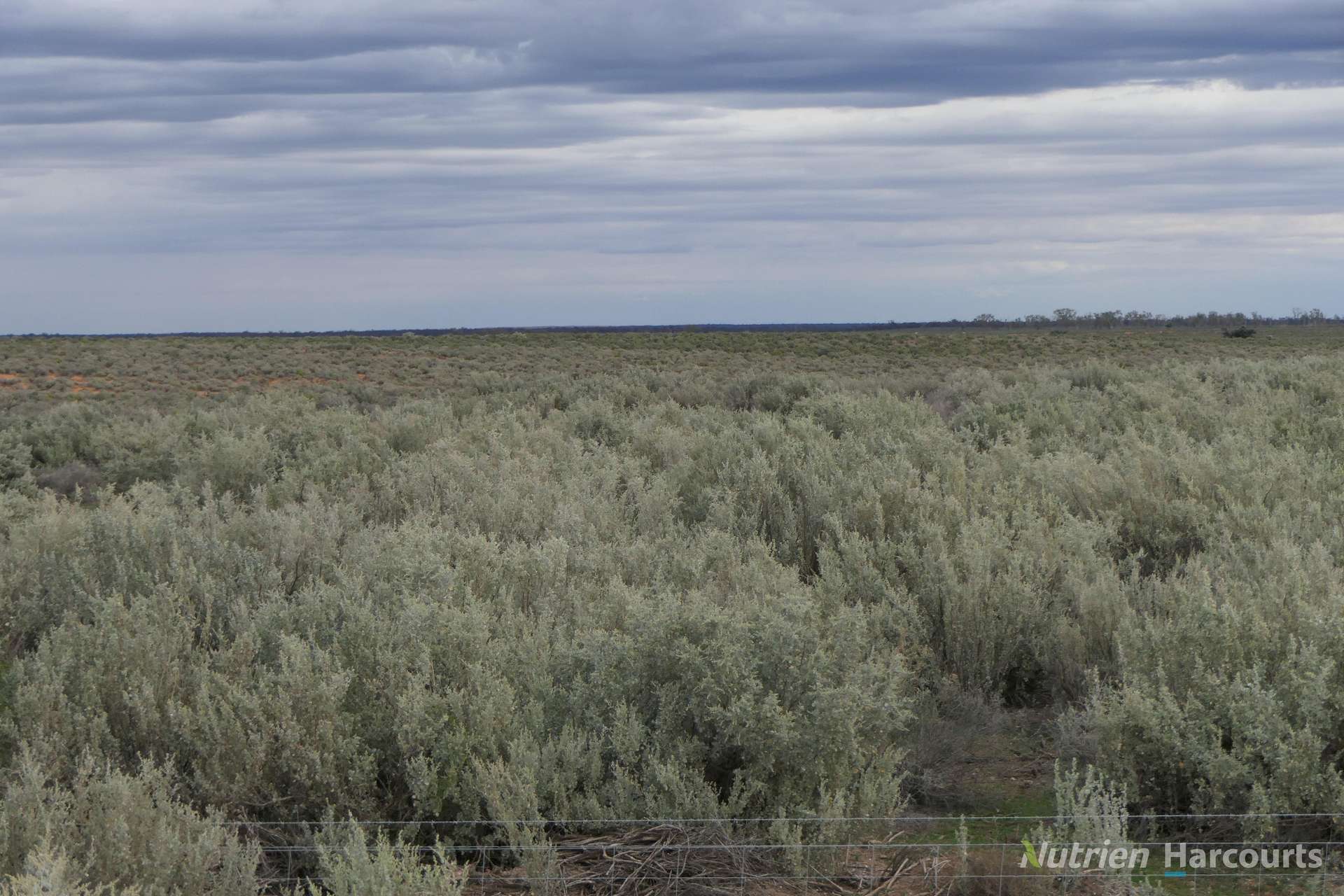 * Magenta Aggregation, Balranald For Sale by Farmbuy.com - image 25