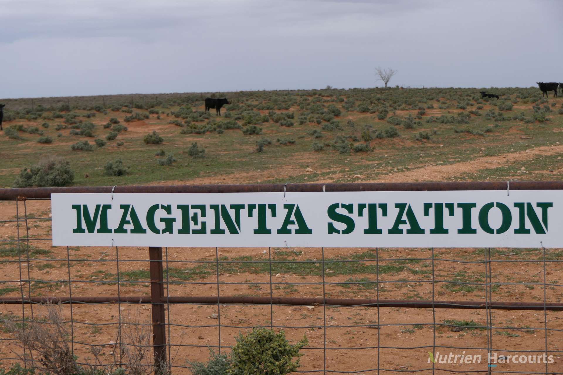 * Magenta Aggregation, Balranald For Sale by Farmbuy.com - image 2