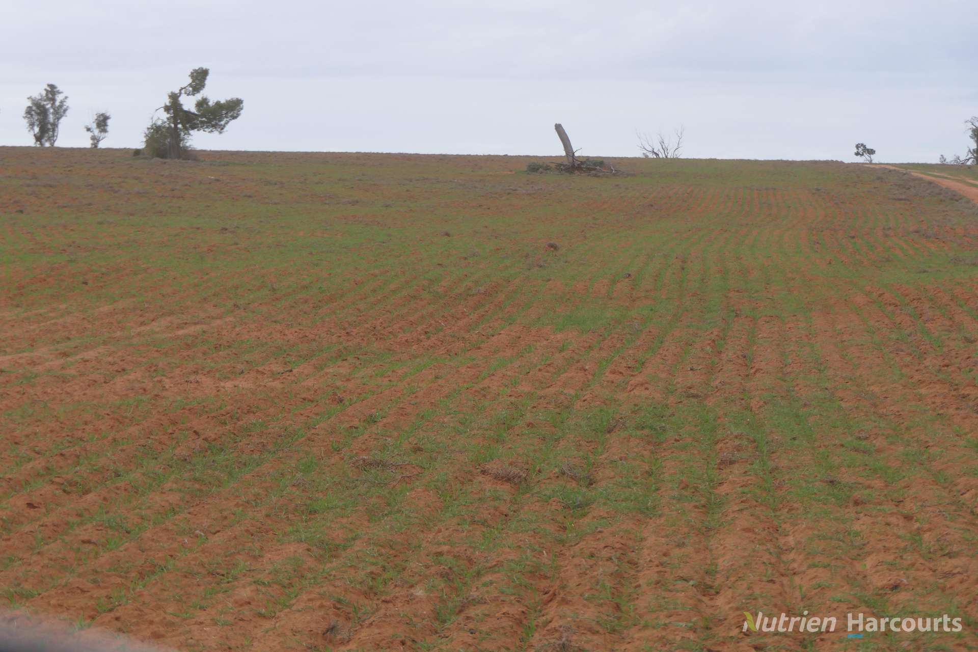 * Magenta Aggregation, Balranald For Sale by Farmbuy.com - image 9