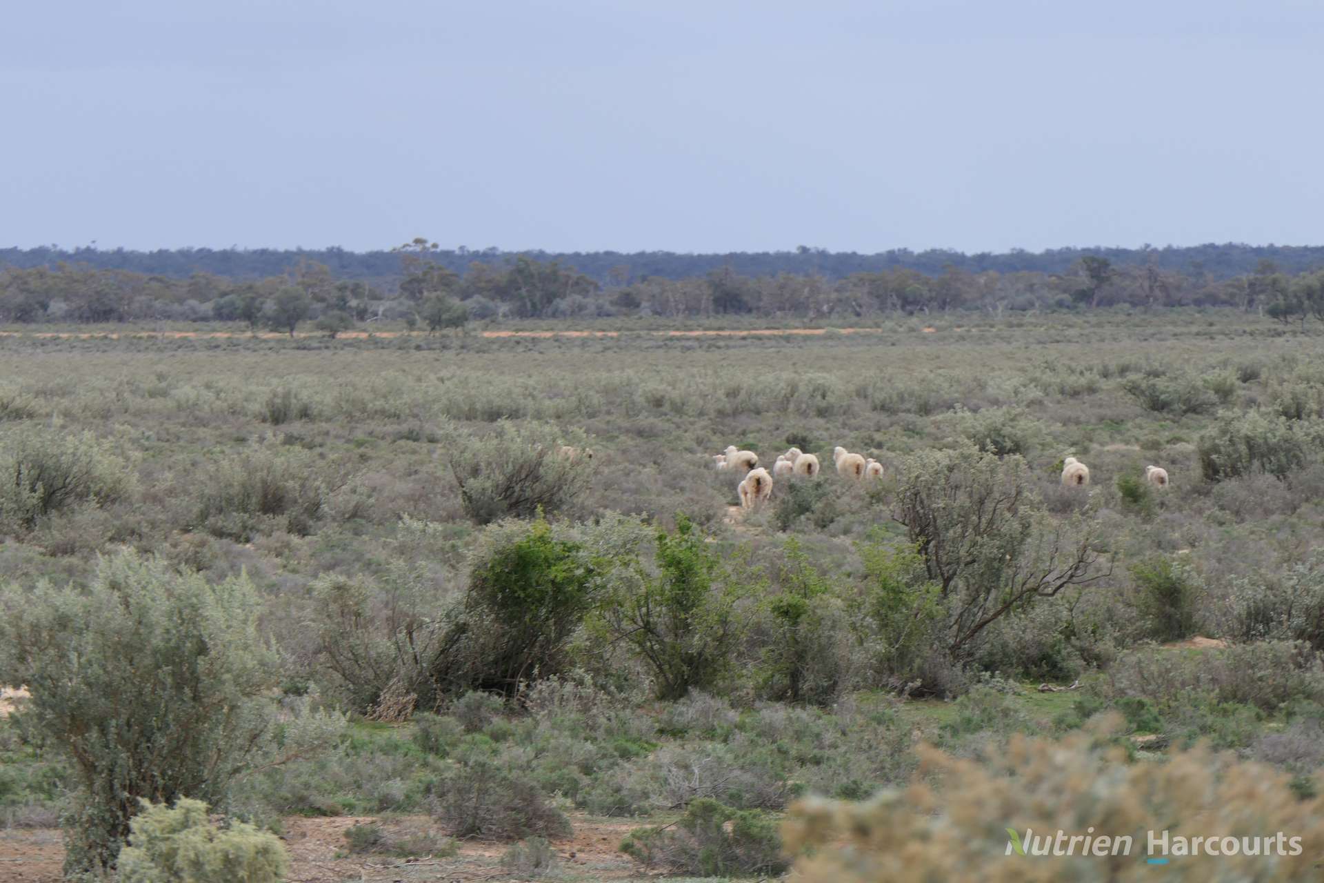 * Magenta Aggregation, Balranald For Sale by Farmbuy.com - image 35