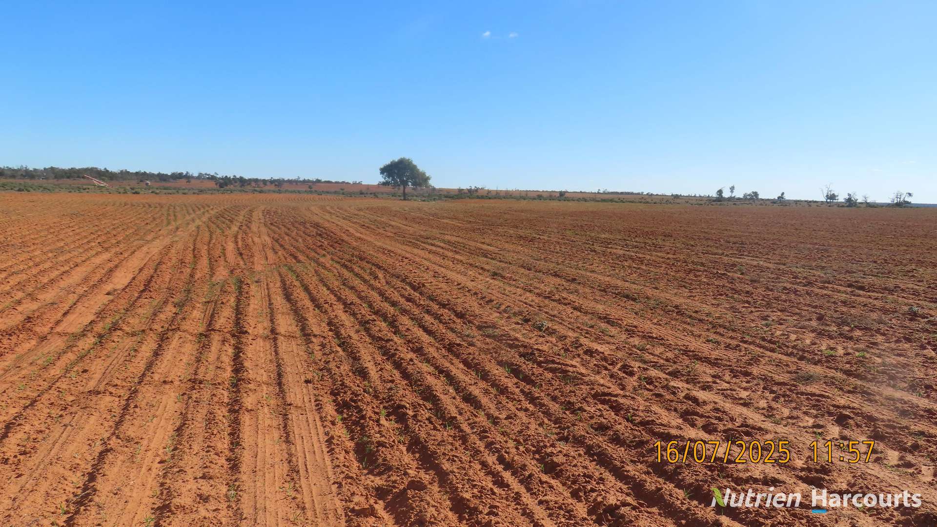 * Magenta Aggregation, Balranald For Sale by Farmbuy.com - image 8