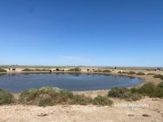 * Magenta Aggregation, Balranald For Sale by Farmbuy.com - image 28