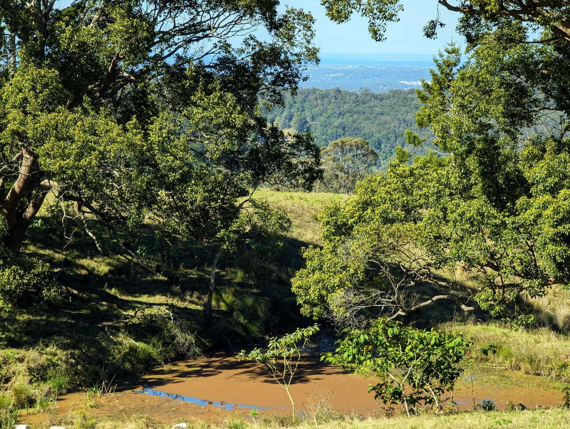 1190 Campbells Pockets Road, Mount Mee For Sale by Farmbuy.com - image 28