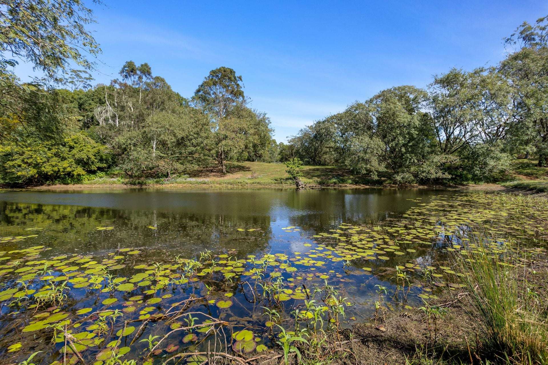 855 Campbells Pocket Road, Campbells Pocket Sold by Farmbuy.com - image 17