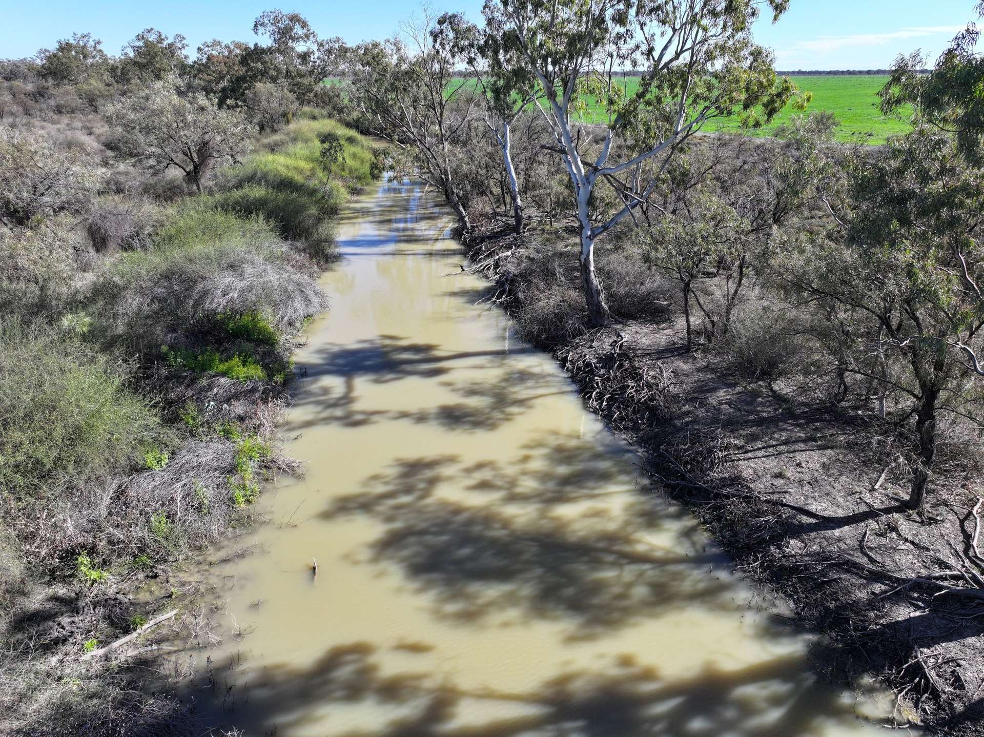1127 Green And Branders Road, Carinda For Sale by Farmbuy.com - image 2