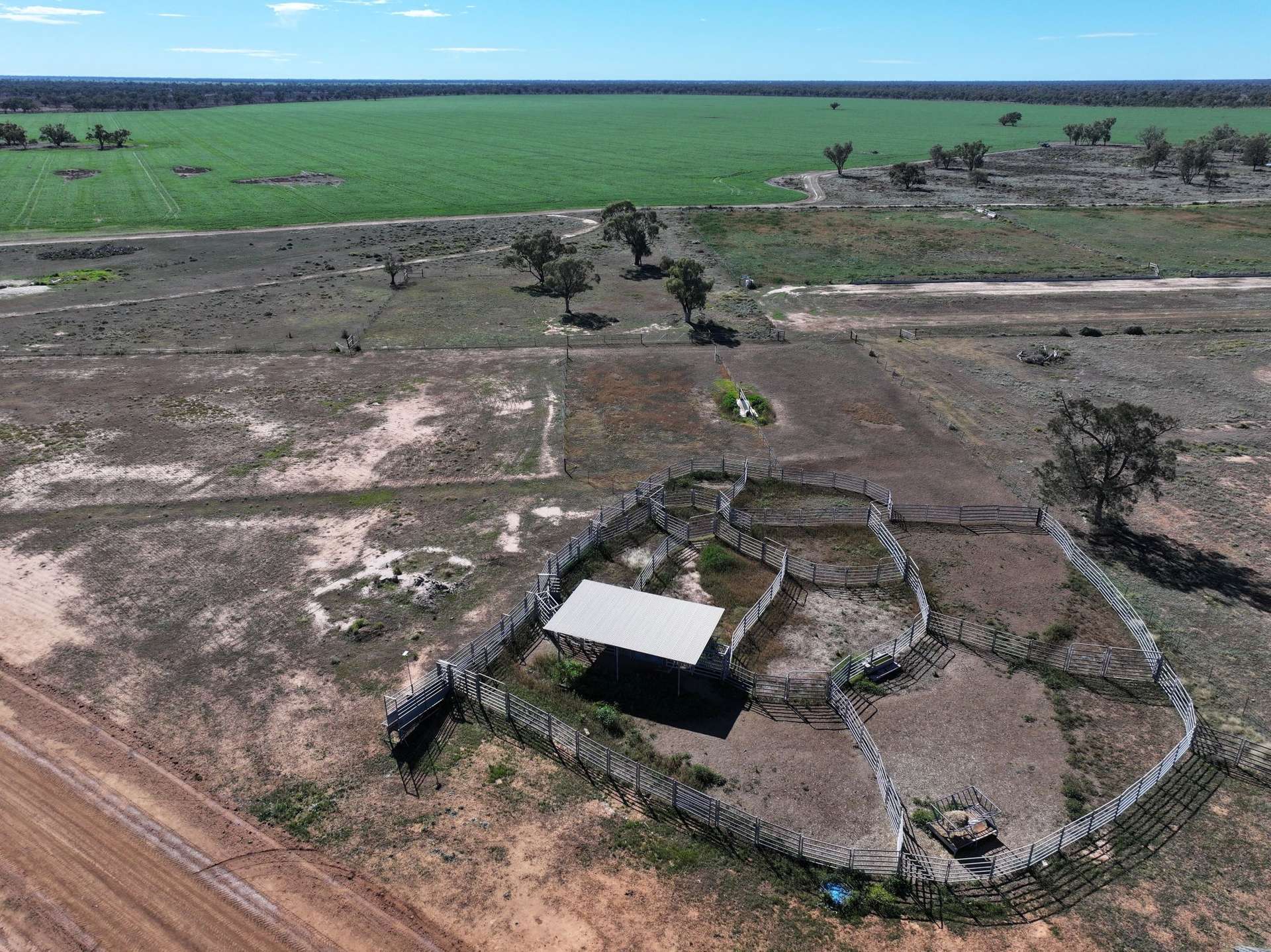 1127 Green And Branders Road, Carinda For Sale by Farmbuy.com - image 14