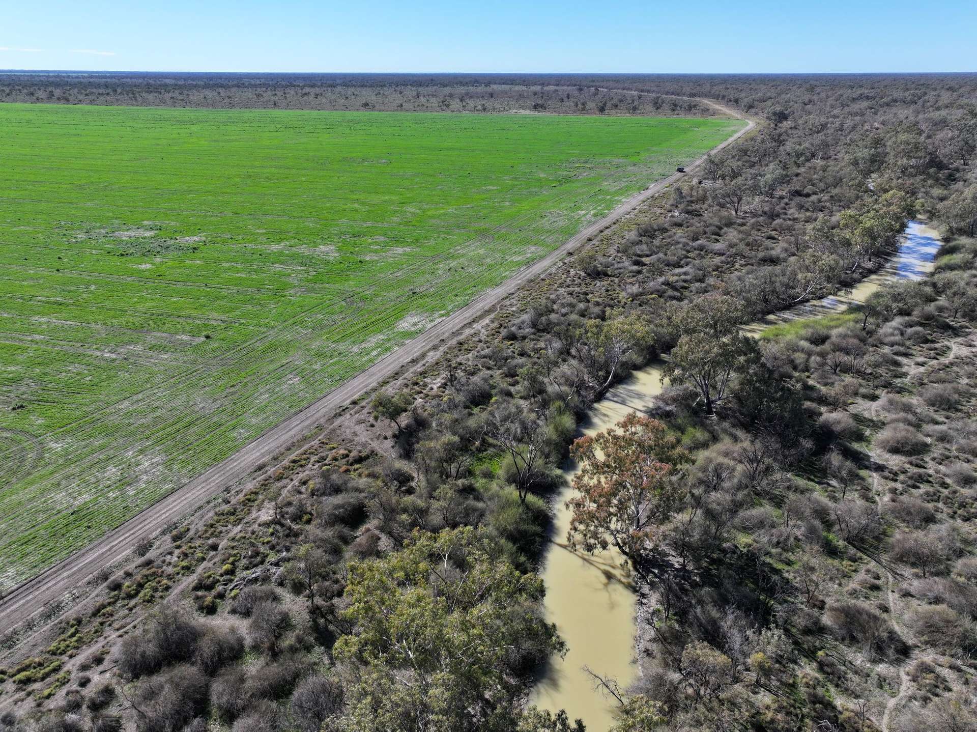 1127 Green And Branders Road, Carinda For Sale by Farmbuy.com - image 7