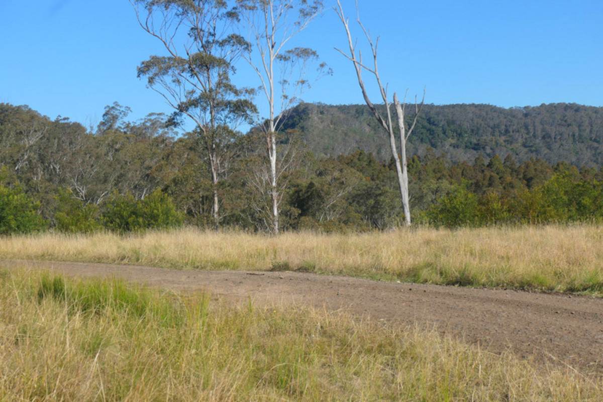 3 Hills Gate Forest Road, Upper Tooloom Sold by Farmbuy.com - image 12