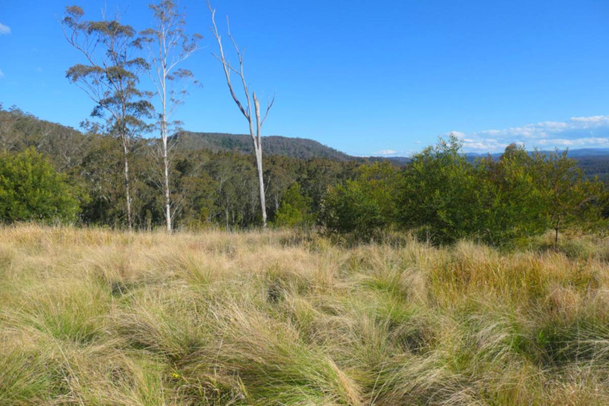 3 Hills Gate Forest Road, Upper Tooloom Sold by Farmbuy.com - image 17