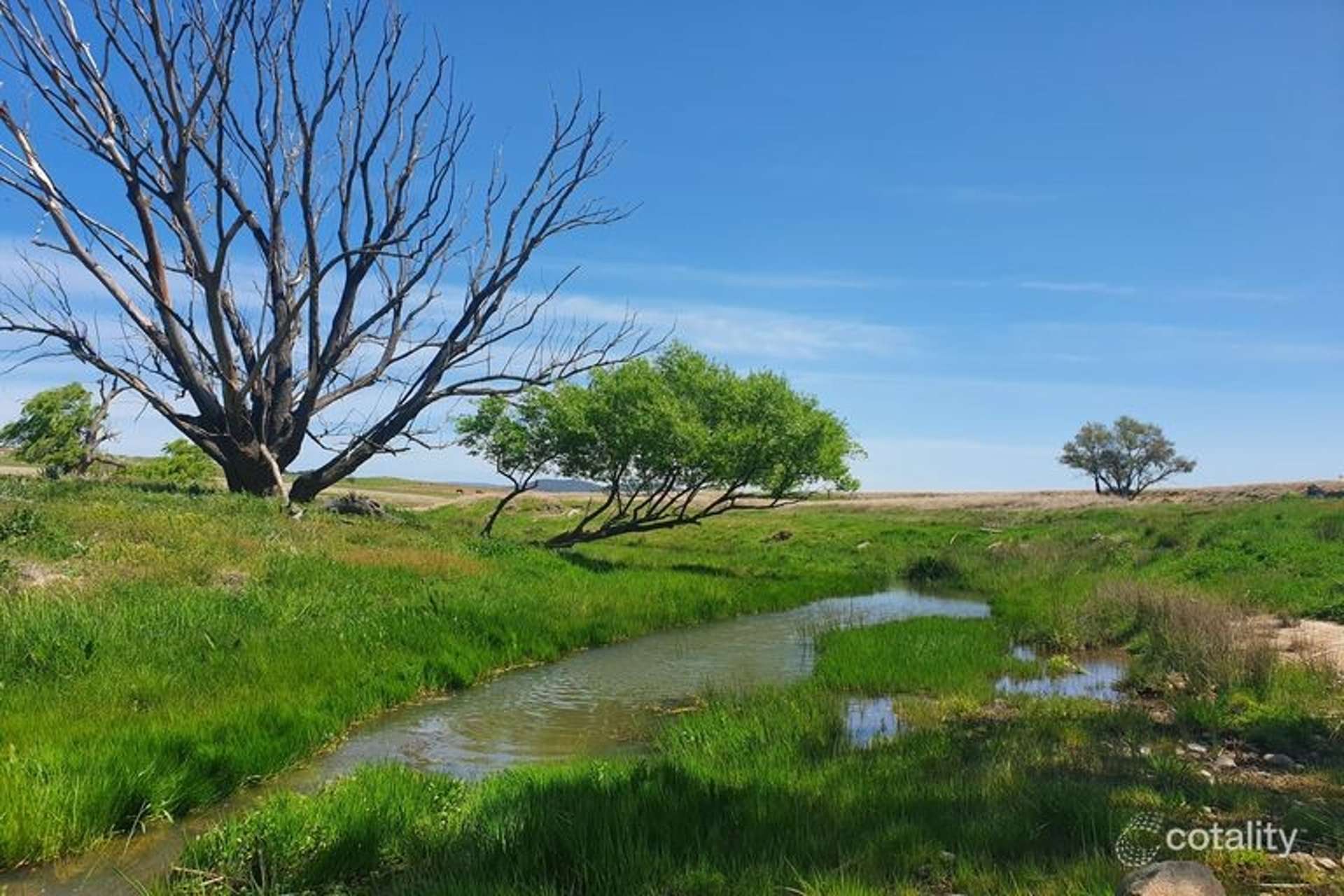 1039 Euradux Road, Larbert For Sale by Farmbuy.com - image 15
