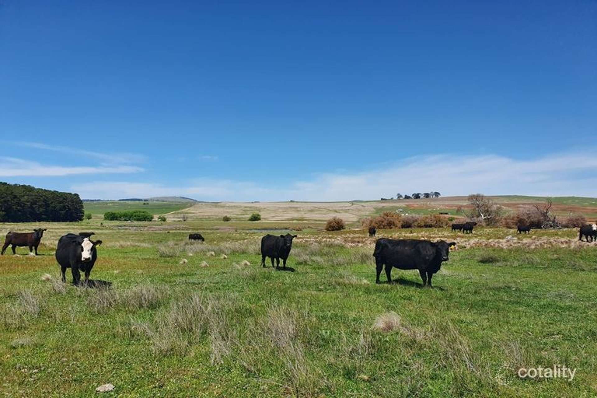 1039 Euradux Road, Larbert For Sale by Farmbuy.com - image 14
