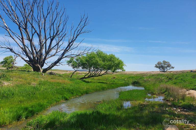1039 Euradux Road, Larbert For Sale by Farmbuy.com - image 3