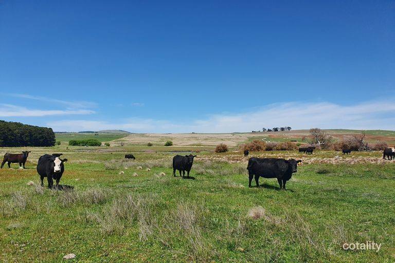 1039 Euradux Road, Larbert For Sale by Farmbuy.com - image 15