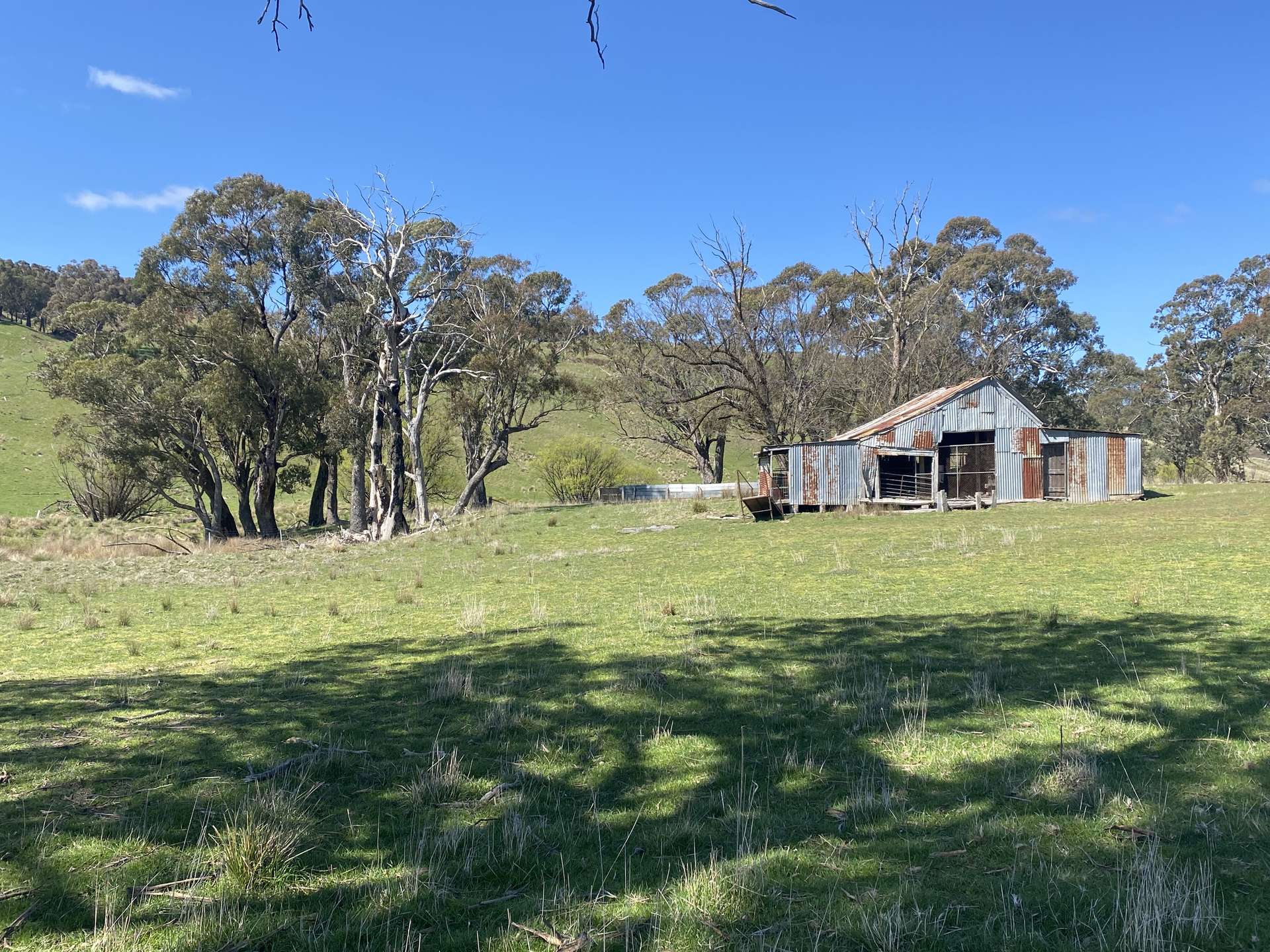 2585 Burraga Road, Burraga For Sale by Farmbuy.com - image 7