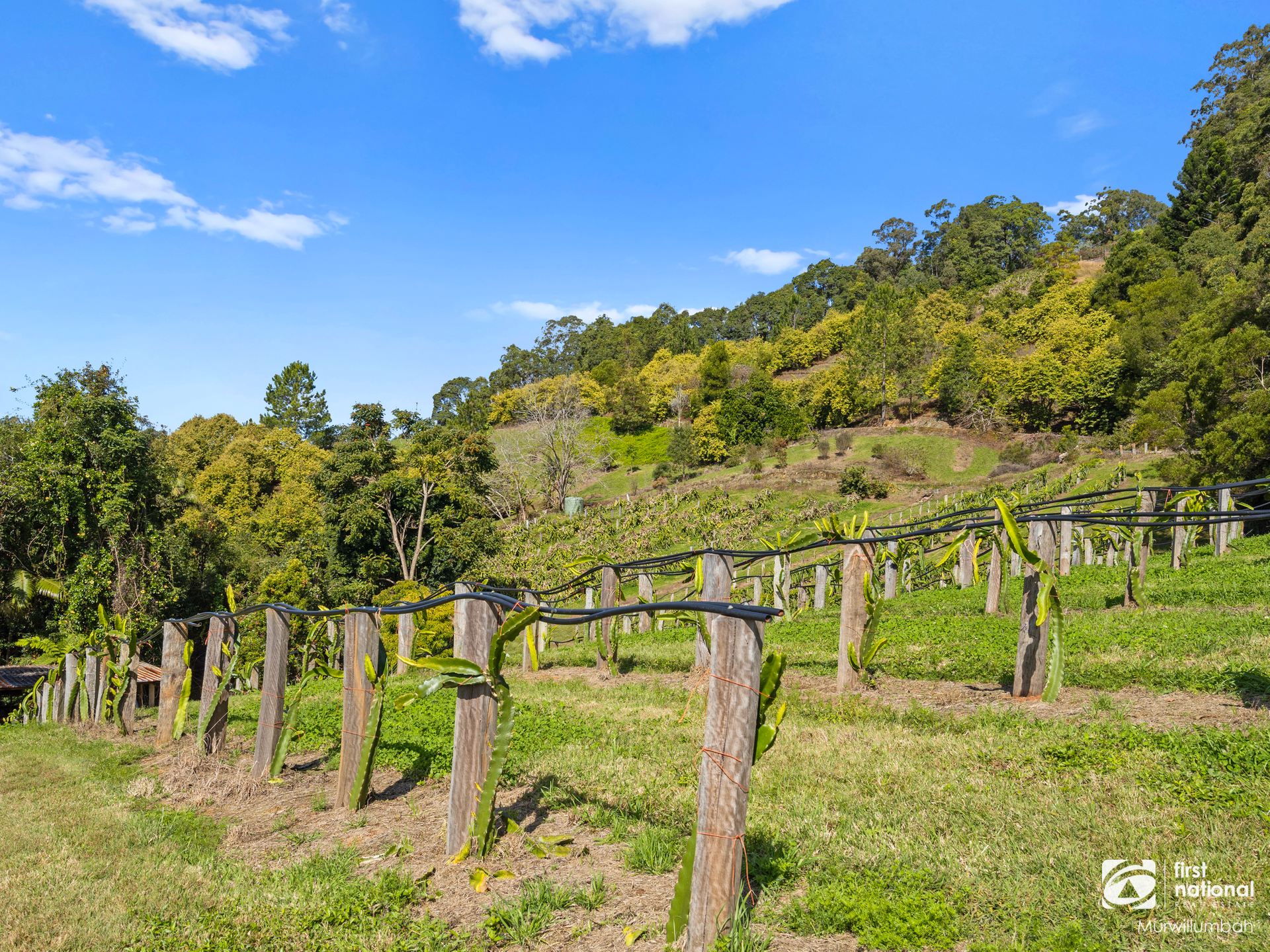 7083 Tweed Valley Way, Dunbible For Sale by Farmbuy.com - image 21