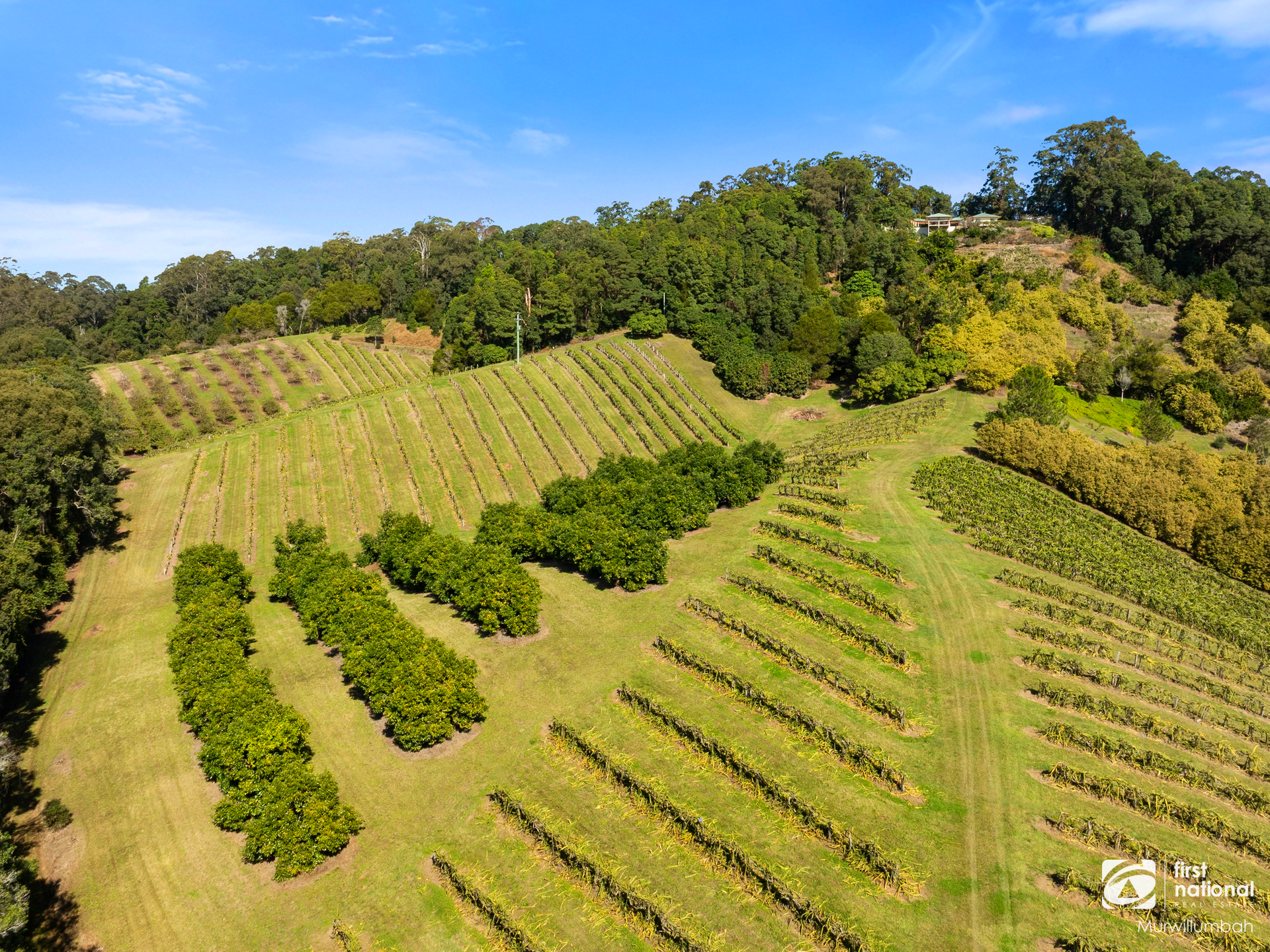 7083 Tweed Valley Way, Dunbible For Sale by Farmbuy.com - image 20