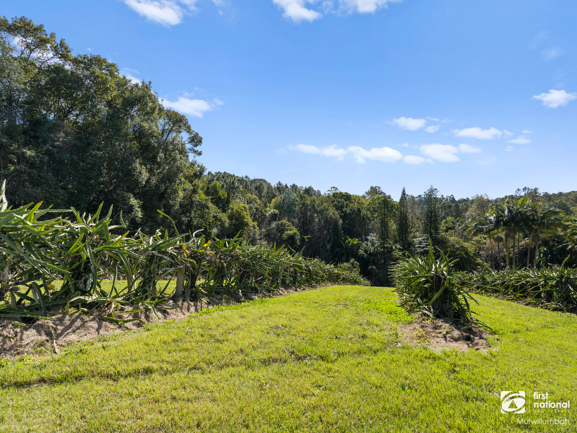 7083 Tweed Valley Way, Dunbible For Sale by Farmbuy.com - image 34