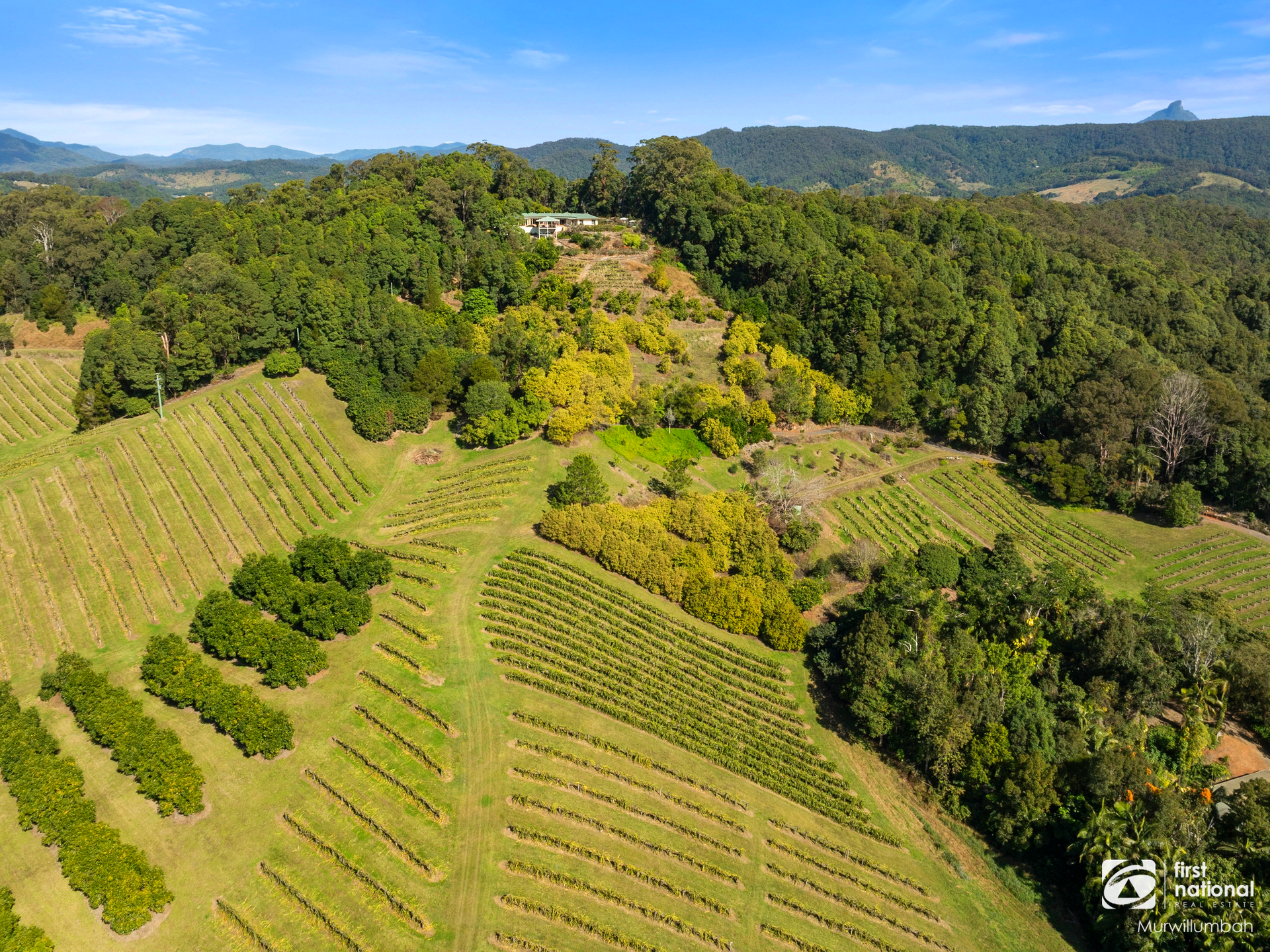 7083 Tweed Valley Way, Dunbible For Sale by Farmbuy.com - image 22