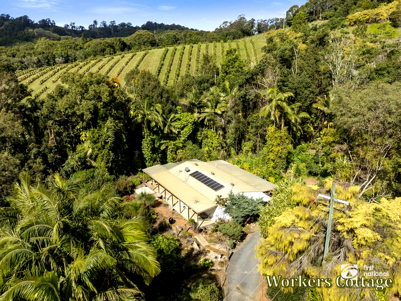 7083 Tweed Valley Way, Dunbible For Sale by Farmbuy.com - image 24