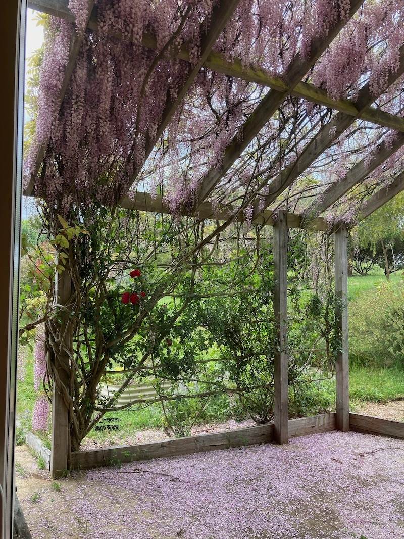 2 Forestview Lane, Daylesford Sold by Farmbuy.com - image 14