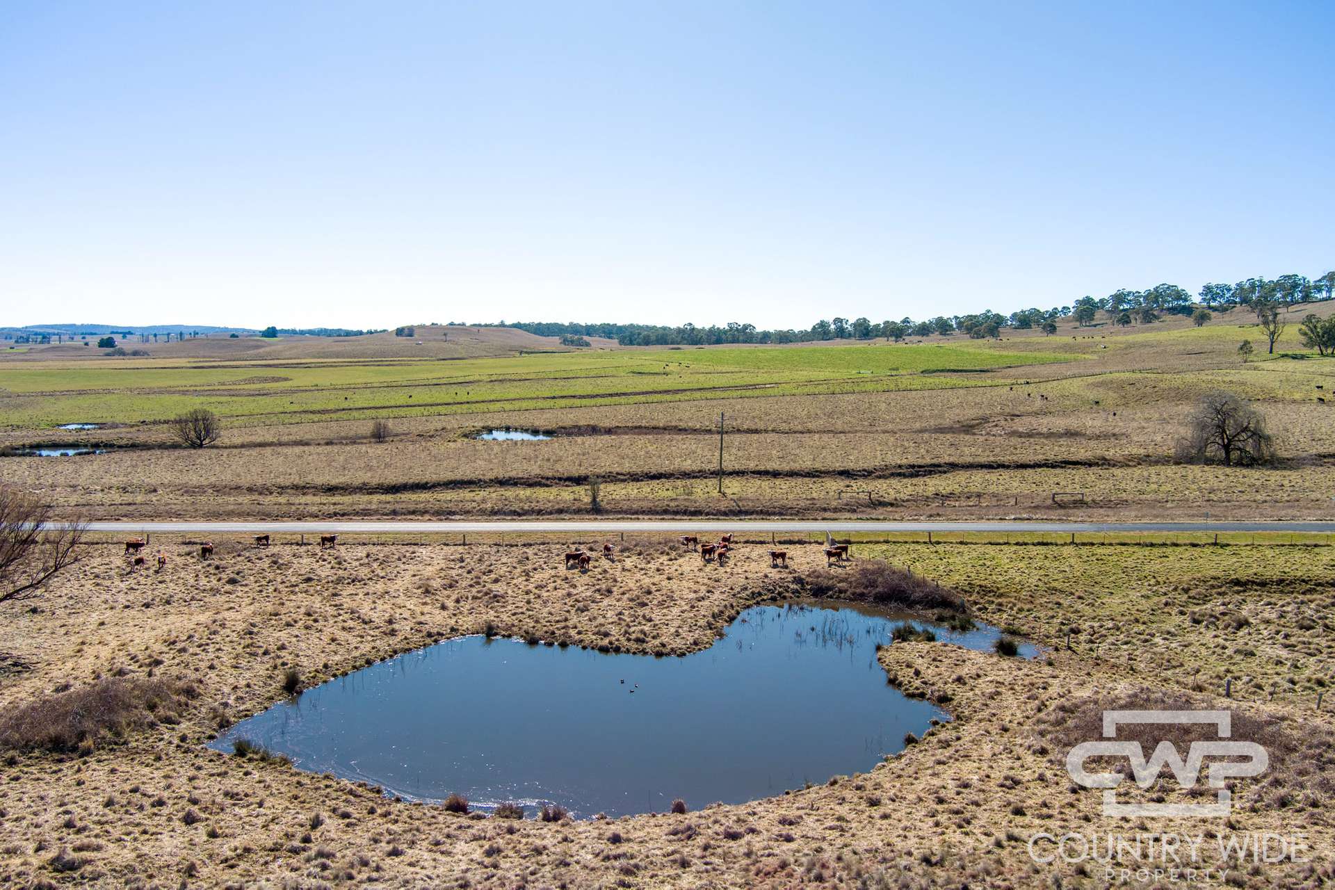 646 Glen Legh Road, Glen Innes For Sale by Farmbuy.com - image 31
