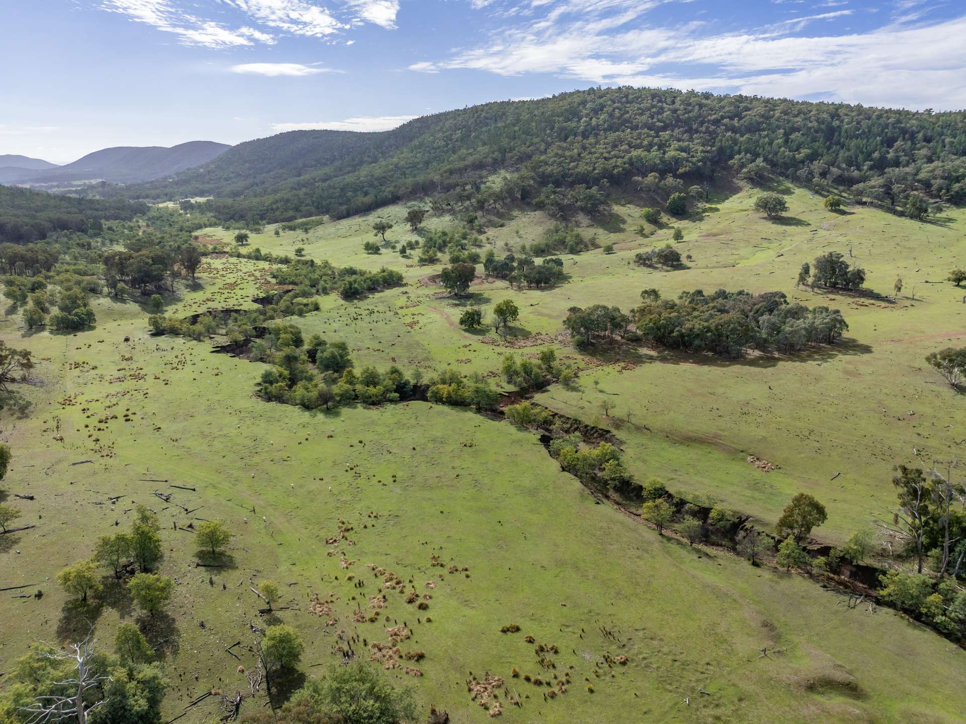'Part Wattle Valley' Kangarooby Road, Gooloogong Sold by Farmbuy.com - image 22