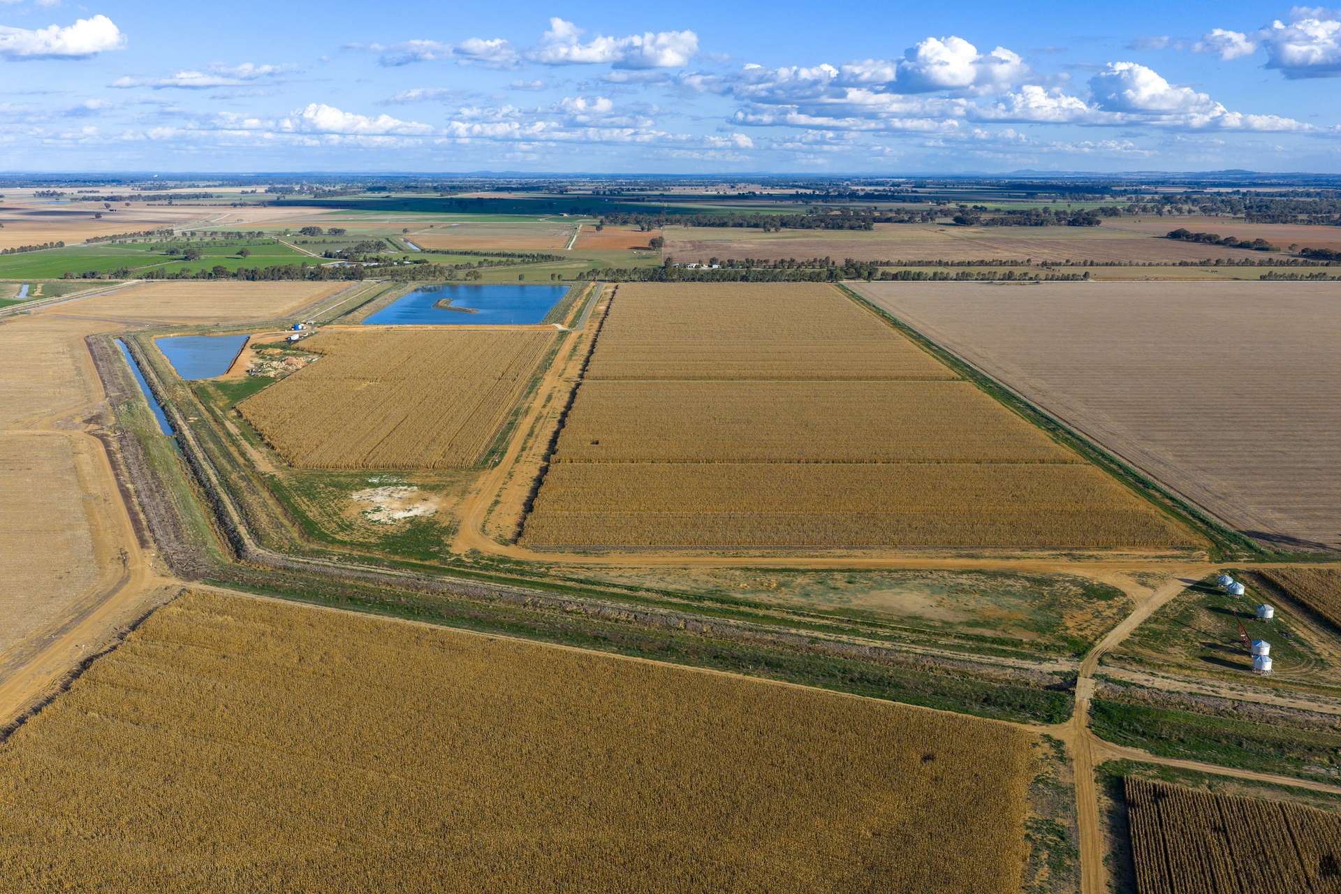 Lot 2 McKenzie Road, Tongala For Sale by Farmbuy.com - image 7