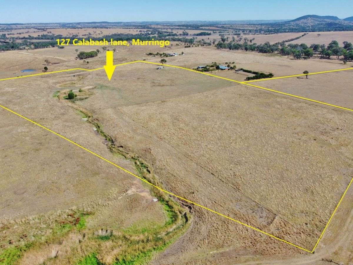 127 Calabash Road, Murringo, Via, Young For Sale by Farmbuy.com - image 2