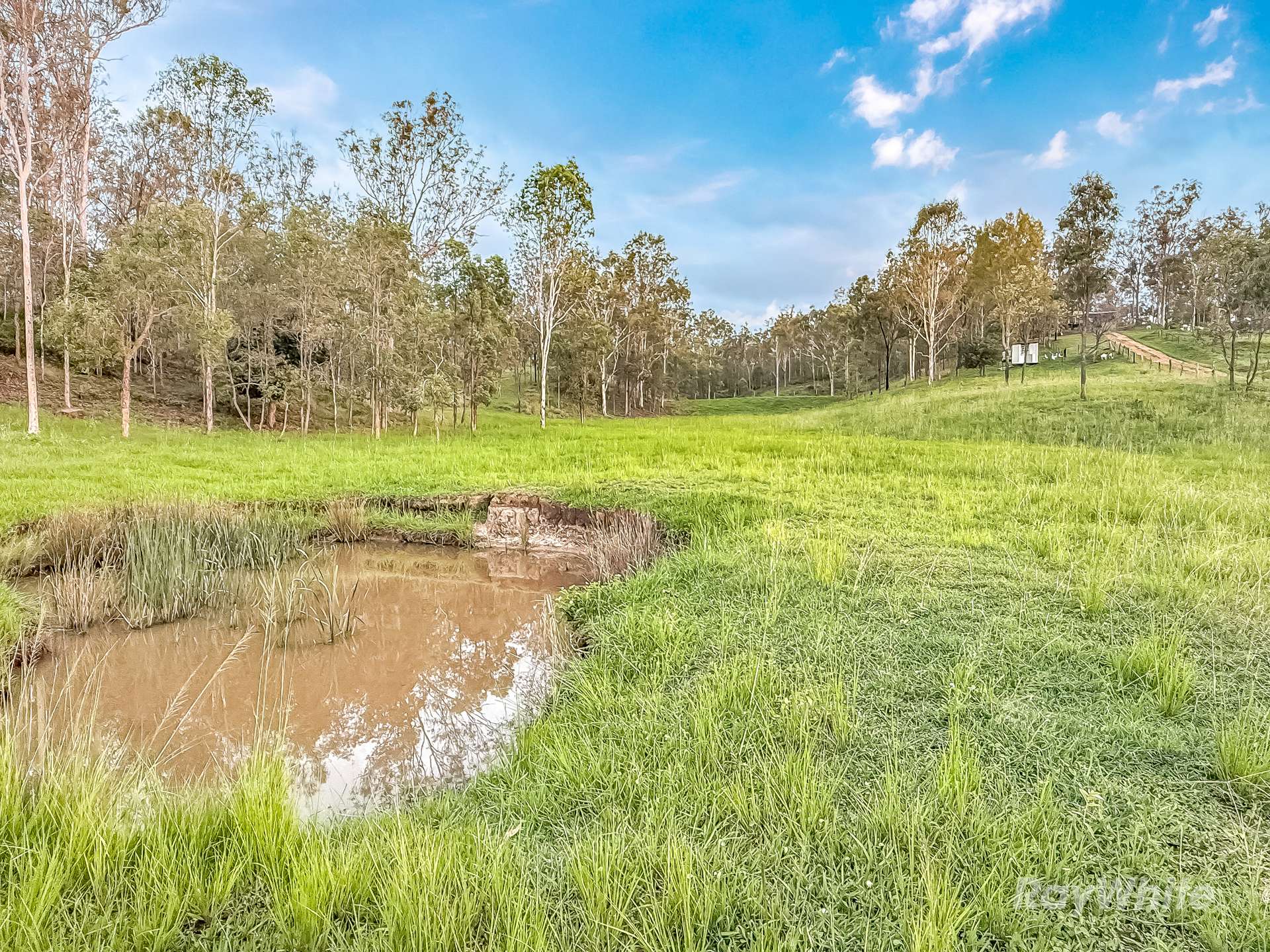 199 Friarbird Drive, Moolboolaman For Sale by Farmbuy.com - image 34