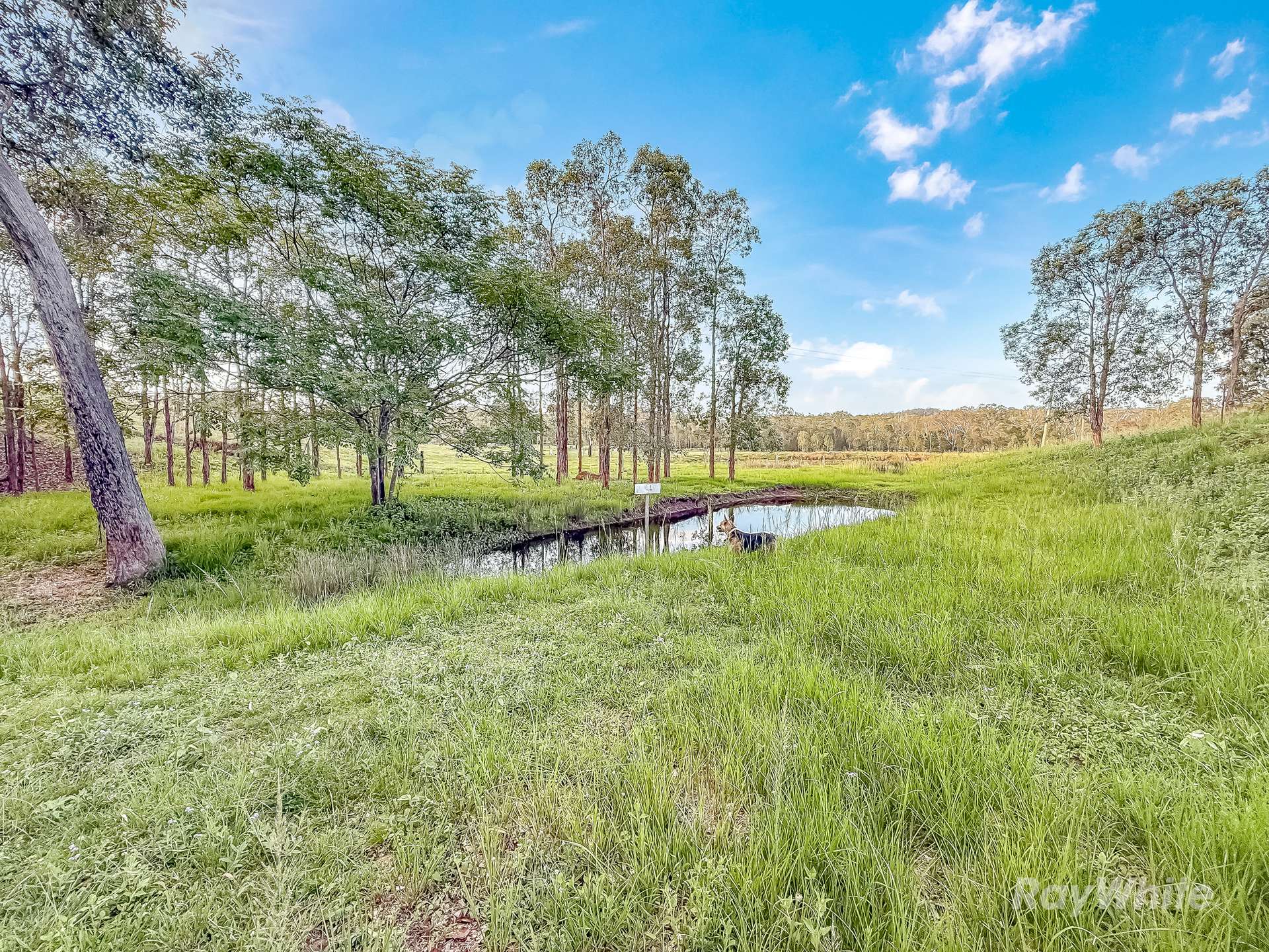 199 Friarbird Drive, Moolboolaman For Sale by Farmbuy.com - image 31