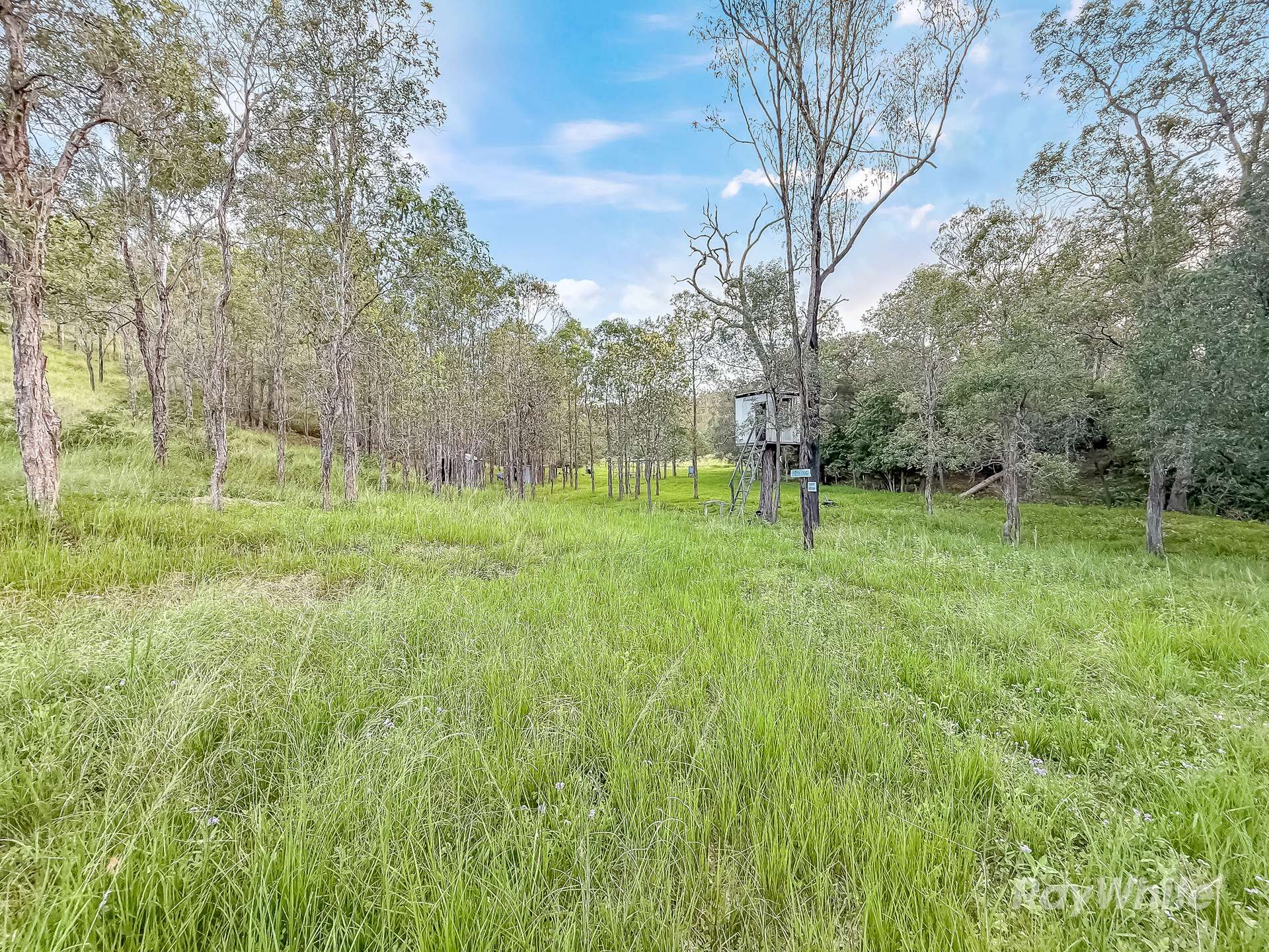 199 Friarbird Drive, Moolboolaman For Sale by Farmbuy.com - image 29