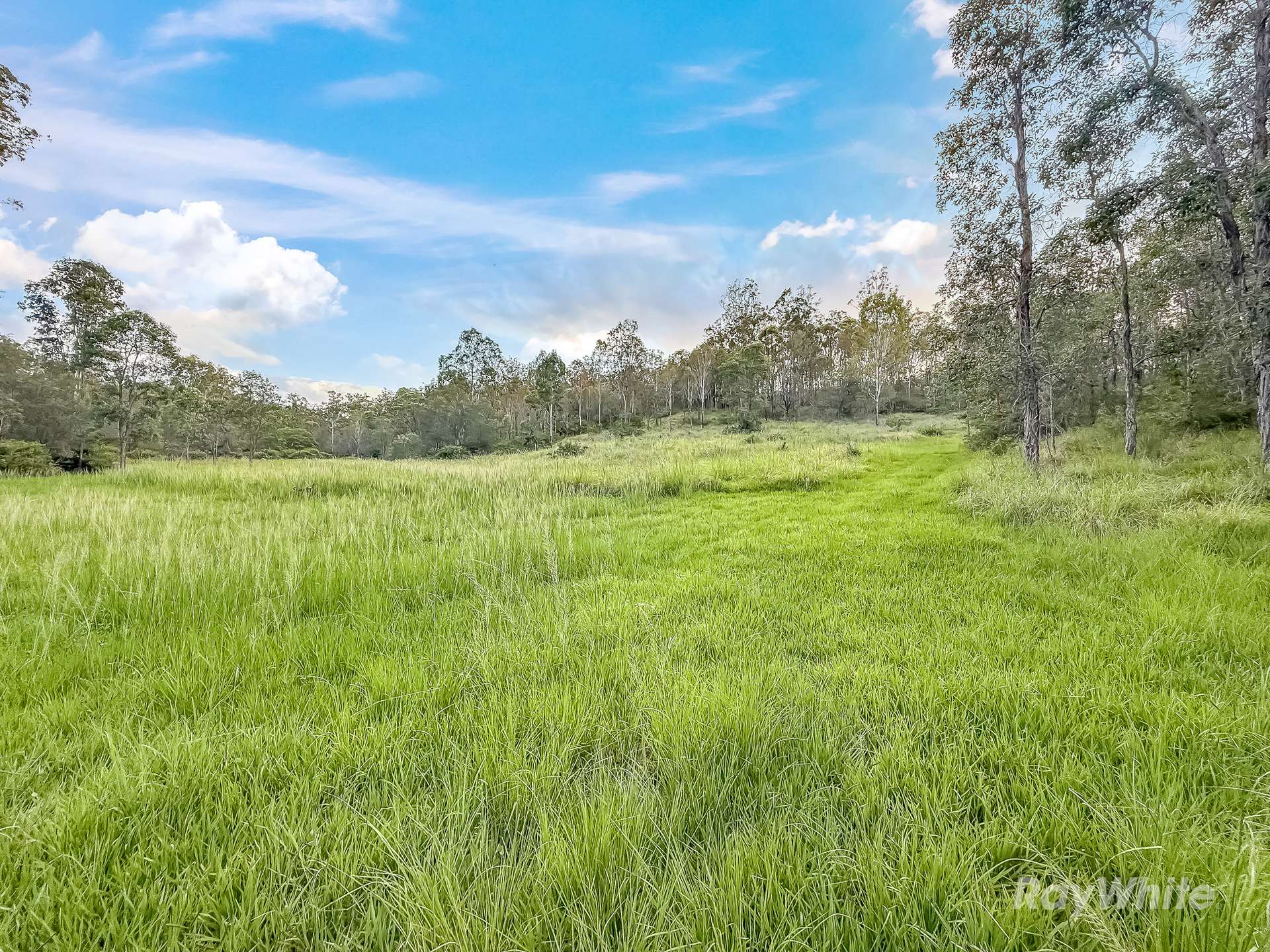 199 Friarbird Drive, Moolboolaman For Sale by Farmbuy.com - image 30