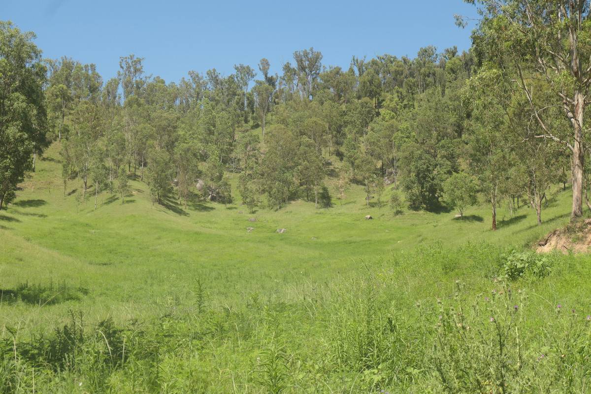Lot 22,  Rocky River Road, Rocky River Sold by Farmbuy.com - image 13