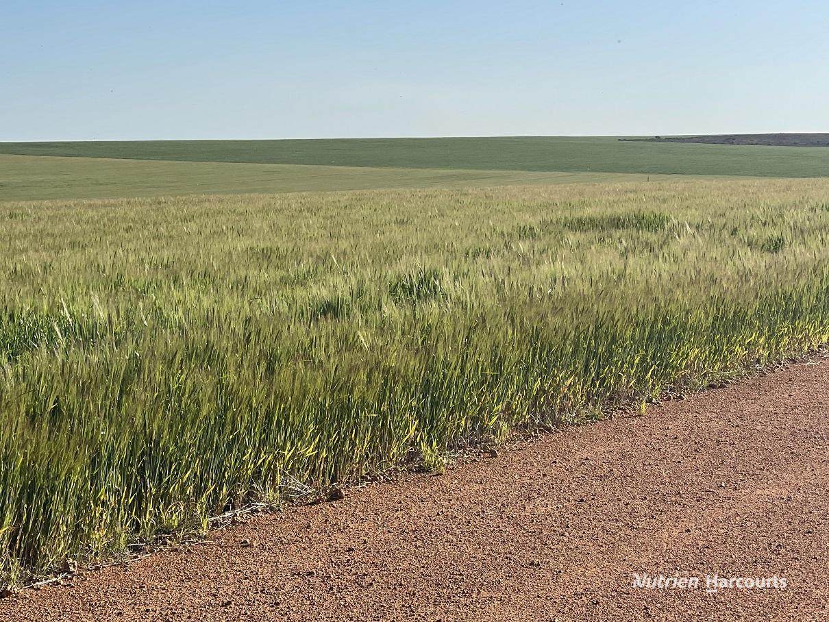 . Andrina Farm, Warradarge For Sale by Farmbuy.com - image 18