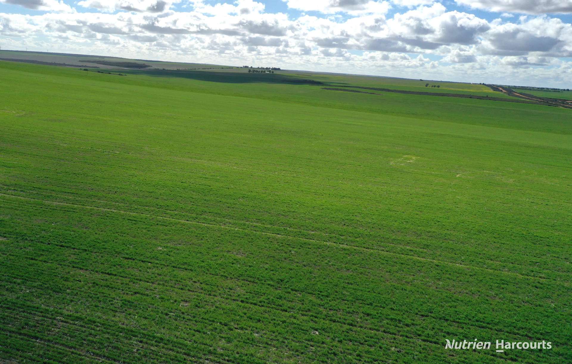 . Andrina Farm, Warradarge For Sale by Farmbuy.com - image 2