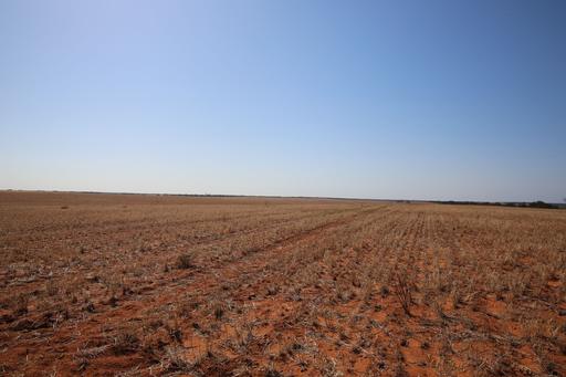 Monak NSW 2738