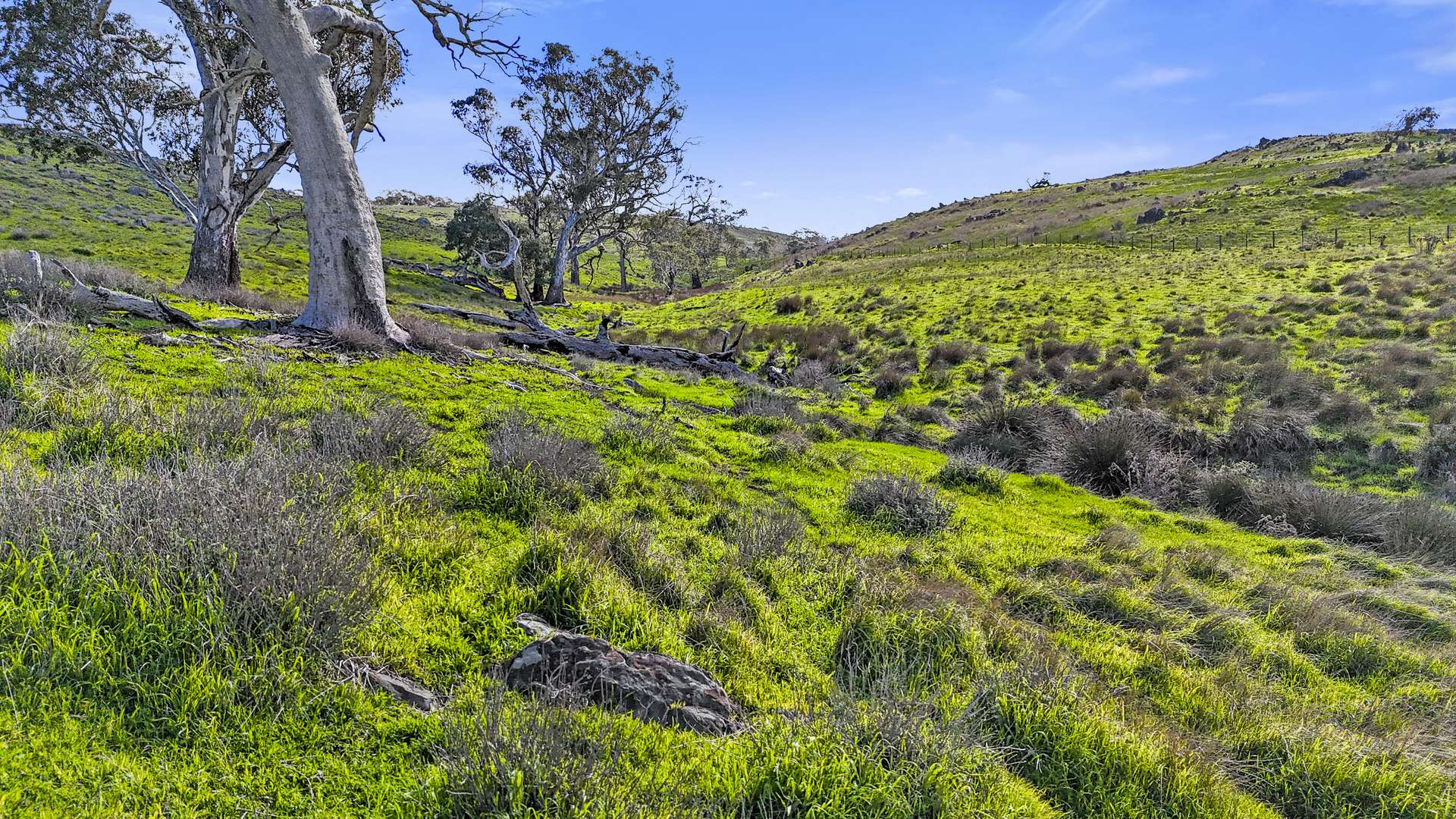 Lot 1240-1242 Falkai Road, Highland Valley Sold by Farmbuy.com - image 14