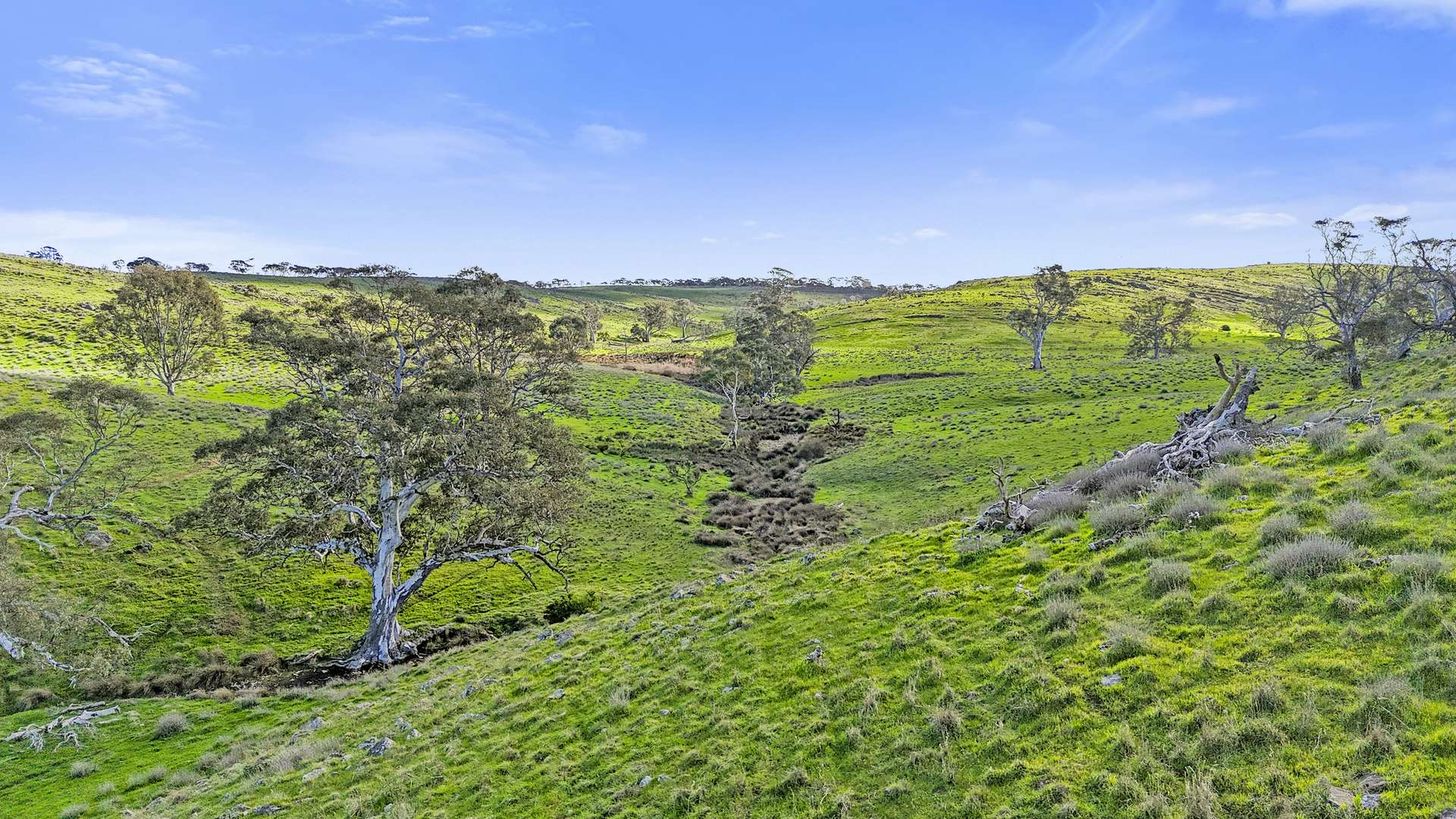 Lot 1240-1242 Falkai Road, Highland Valley Sold by Farmbuy.com - image 2